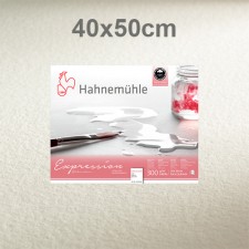 40X50cm/300-20a CP Expression